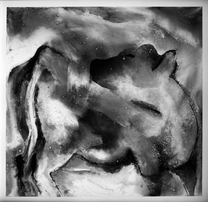 image of stained glass panel: Charolais cow